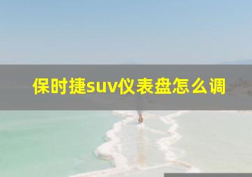 保时捷suv仪表盘怎么调