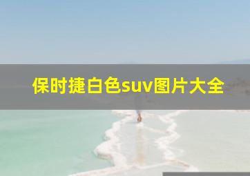 保时捷白色suv图片大全