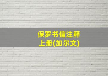 保罗书信注释上册(加尔文)