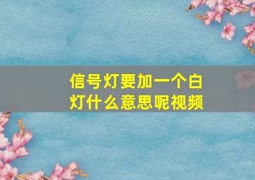 信号灯要加一个白灯什么意思呢视频