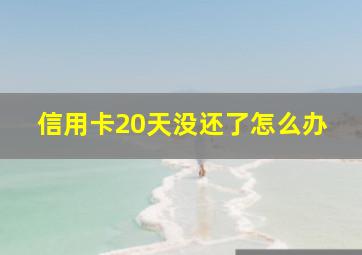 信用卡20天没还了怎么办