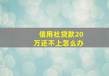 信用社贷款20万还不上怎么办