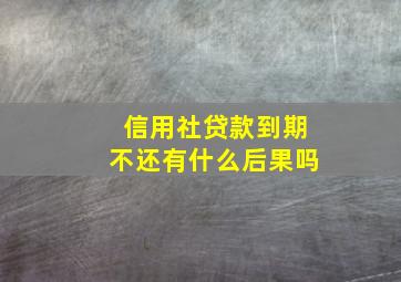 信用社贷款到期不还有什么后果吗