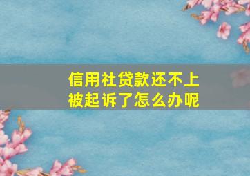 信用社贷款还不上被起诉了怎么办呢