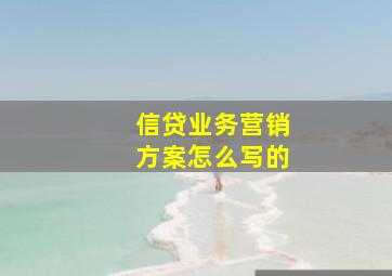 信贷业务营销方案怎么写的