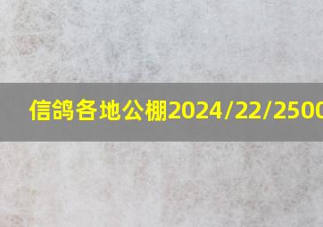 信鸽各地公棚2024/22/2500768