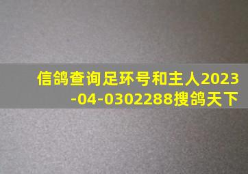 信鸽查询足环号和主人2023-04-0302288搜鸽天下