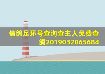 信鸽足环号查询查主人免费查鸽2019032065684