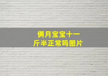 俩月宝宝十一斤半正常吗图片