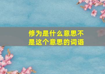 修为是什么意思不是这个意思的词语