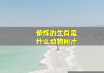 修炼的生肖是什么动物图片