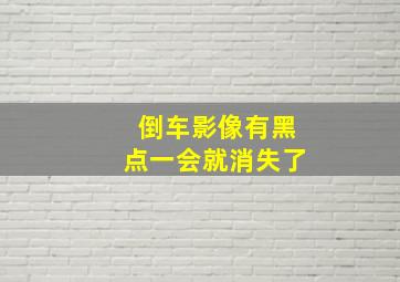 倒车影像有黑点一会就消失了