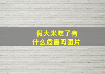 假大米吃了有什么危害吗图片