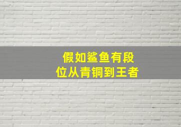 假如鲨鱼有段位从青铜到王者