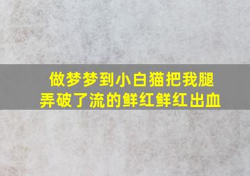 做梦梦到小白猫把我腿弄破了流的鲜红鲜红出血