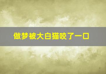 做梦被大白猫咬了一口