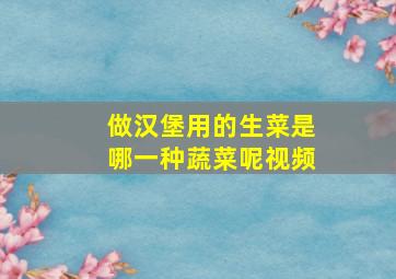 做汉堡用的生菜是哪一种蔬菜呢视频