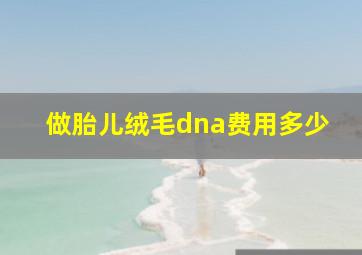 做胎儿绒毛dna费用多少