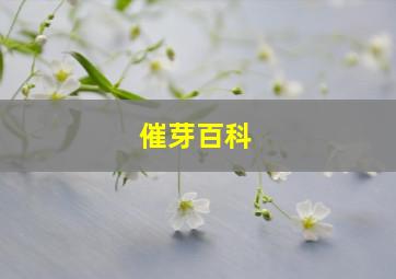 催芽百科