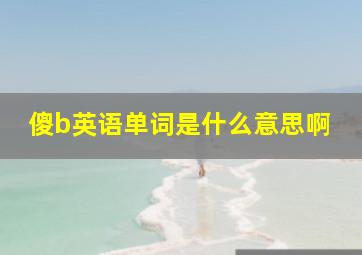 傻b英语单词是什么意思啊