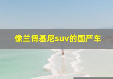 像兰博基尼suv的国产车