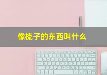 像梳子的东西叫什么