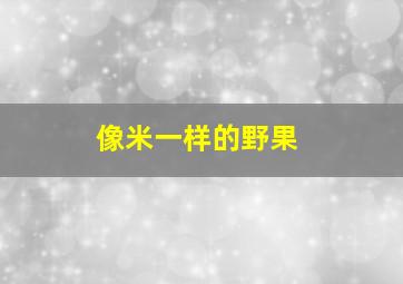 像米一样的野果