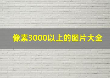 像素3000以上的图片大全