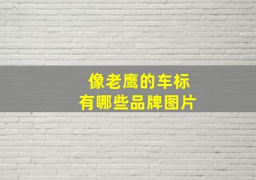 像老鹰的车标有哪些品牌图片