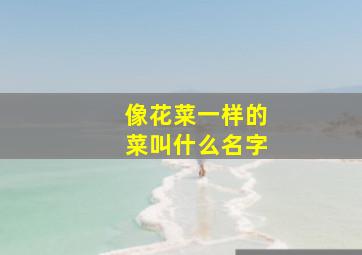 像花菜一样的菜叫什么名字