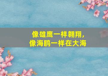 像雄鹰一样翱翔,像海鸥一样在大海