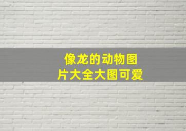 像龙的动物图片大全大图可爱