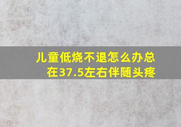 儿童低烧不退怎么办总在37.5左右伴随头疼