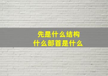 先是什么结构什么部首是什么