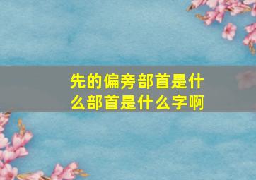 先的偏旁部首是什么部首是什么字啊