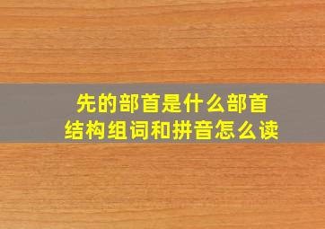 先的部首是什么部首结构组词和拼音怎么读