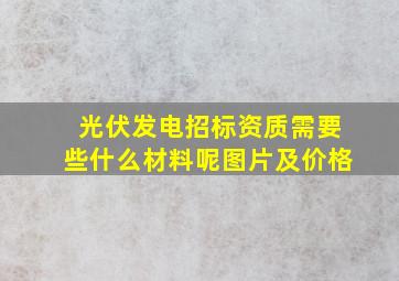 光伏发电招标资质需要些什么材料呢图片及价格