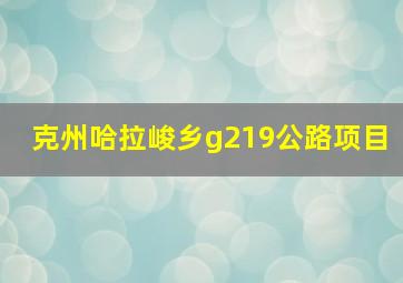 克州哈拉峻乡g219公路项目