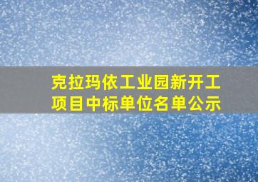 克拉玛依工业园新开工项目中标单位名单公示