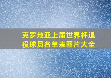 克罗地亚上届世界杯退役球员名单表图片大全