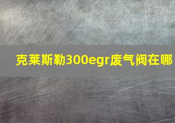 克莱斯勒300egr废气阀在哪