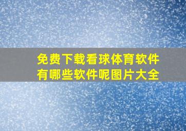 免费下载看球体育软件有哪些软件呢图片大全