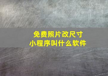 免费照片改尺寸小程序叫什么软件