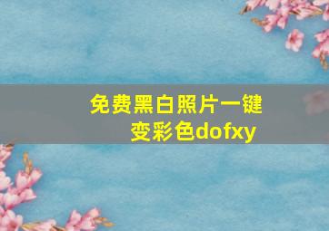 免费黑白照片一键变彩色dofxy