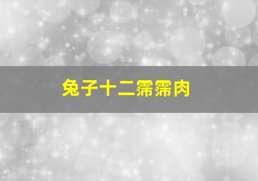 兔子十二霈霈肉