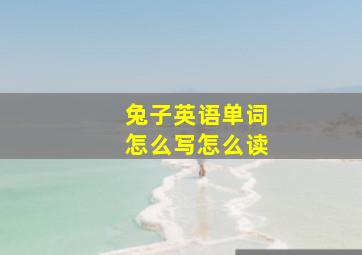 兔子英语单词怎么写怎么读