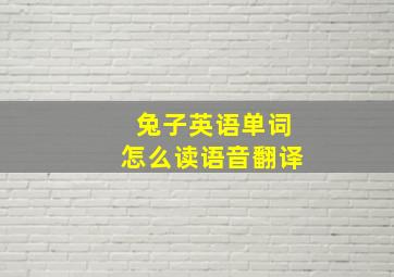 兔子英语单词怎么读语音翻译