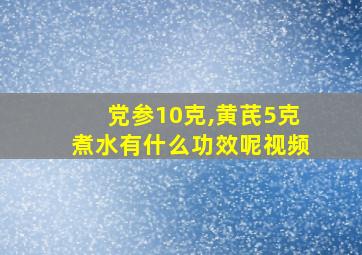 党参10克,黄芪5克煮水有什么功效呢视频