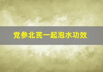 党参北芪一起泡水功效