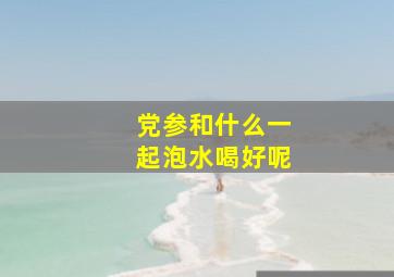 党参和什么一起泡水喝好呢